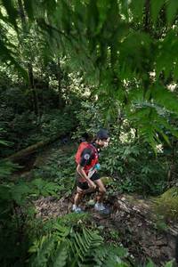 BIB: 010
                            <button type="button" onclick="openModal(16028733)" class="btn btn-primary btn-sm float-right btn-popup" data-toggle="modal" data-target=".modal-high-quality">
                        <i class="fas fa-shopping-cart"></i> Add to Cart
                    </button>
                                            <button type="button" onclick="isThisMe(16028733, true)" class="btn btn-success btn-sm float-right btn-popup btn-isme hidden" data-toggle="tooltip" data-placement="bottom" title="นี่คือรูปของคุณใช่ไหม คลิกที่นี่เพื่อเอาเข้าอัลบั้ม">
                        <i class="fas fa-plus"></i> Add to album
                    </button>
                    <button type="button" onclick="isThisMe(16028733, false)" class="btn btn-warning btn-sm float-right btn-popup btn-isnotme hidden">
                        <i class="fas fa-ban"></i> Remove from album
                    </button>